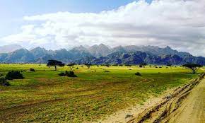 Gebel Elba Will Soon Turn Green Gabana Coffee Awaits Visitors Egypttoday