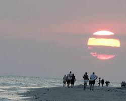 Find great deals from hundreds of websites, and book the right hotel using tripadvisor's 124,127 reviews of sanibel island hotels. Sanibel Island Fl The World S Best Shelling Beaches Beach Bliss Living