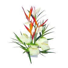 Maybe you would like to learn more about one of these? Haleakala Tropical Hawaiian Flower Bouquet Hawaiian Flowers Tropical Flowers Deliver Anywhere In Usa Fresh Hawaiian Tropical Flowers Delivery