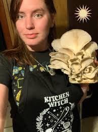 Gourmet mushroom farming and medicinal benefits