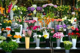 Comment Realiser L Etude De Marche D Un Fleuriste