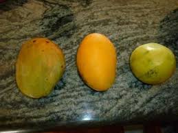 Epingle Sur Fruits Et Legumes Gwada