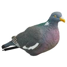 Seelenruhig saß der vogel eine weile auf dem spielfeld im münchner stadion. Lockvogel Taube 3d 500