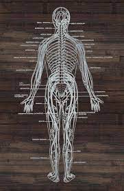 The level of pain is therefore never the same. Tattoo Pain Chart 101 How Bad Do Tattoos Hurt