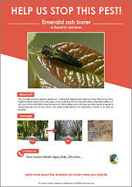 Maybe you would like to learn more about one of these? Templates For Pest Specific Posters