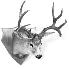 I am new to mule, i want to validate the timestamp and nonce parameter from uri for preventing the replay attack. Field Judging Mule Deer And Blacktails Boone And Crockett Club