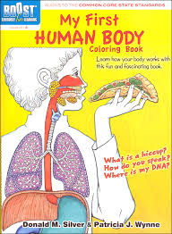 Kids plays by matching individual organs / bones in the right. My First Human Body Coloring Book Boost Series Dover Publications 9780486494104