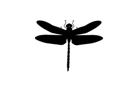 Download Dragonfly Svg Cut File By Creative Fabrica Crafts Creative Fabrica