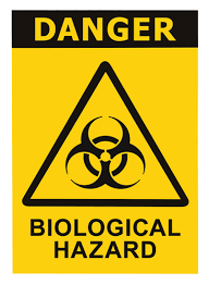 Mineral hazards such as asbestos, radon, and mercury. The Dangers Of Biological Hazards Bio Trauma Scene Cleanup