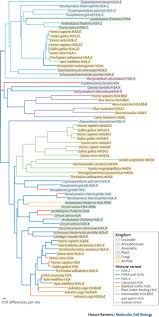 Reading and discussing important works of prose and poetry will also help. Histone Variants Ancient Wrap Artists Of The Epigenome Nature Reviews Molecular Cell Biology
