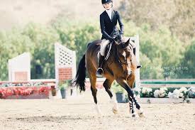 These sentences come from external sources and may not be. 2 771 Followers 695 Following 351 Posts See Instagram Photos And Videos From Caroline G Photography Carolinegabusp Instagram Photo Photo And Video Photo