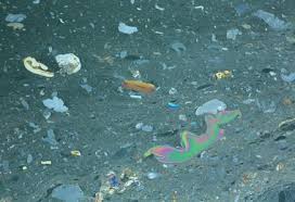 Not only does plastic pollution in the great pacific garbage patch pose risks for the safety and health of marine animals, but there are health and economic implications for humans as well. Great Pacific Garbage Patch National Geographic Society