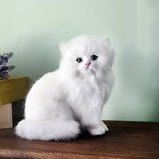 Cara merawat kucing persia dari makanan, kandang dan bagi kamu yang tertarik memelihara kucing jenis persia, perlu untuk mengetahui banyak hal mengenai kucing imut ini. Boneka Plush Bentuk Kucing Persia Warna Putih Shopee Indonesia
