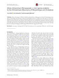 Image result for Olinia chimanimani