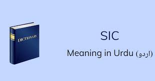 A sic mexe consigo na tv, em sic.pt e ainda mais aqui na @sicoficial onde tudo pode acontecer. Sic Meaning In Urdu With 3 Definitions And Sentences