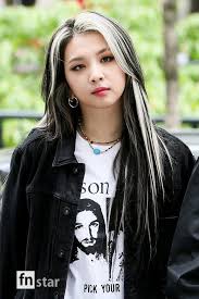 Pin By Lissett On Jiwoo Hair Inspo Color Hair Streaks Skunk Hair