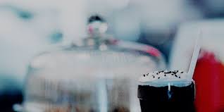 We did not find results for: For Everyone Who Is Obsessed With Cheryl Blossom From Riverdale