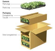 A current floral industry buzzword is boxed flower program. How To Ship Flowers And Plants Fedex