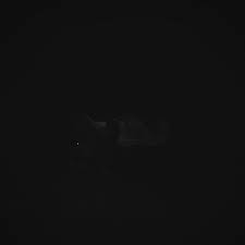 See the pen flickering light text effect by mandy michael (@mandymichael) on codepen.0. Aesthetic Lights Gif Largest Wallpaper Portal