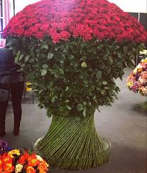 There are many reasons to get your fresh cut flowers now. Long Stem Roses Long Stem Roses Buy Flowers Online Bulk Flowers Online