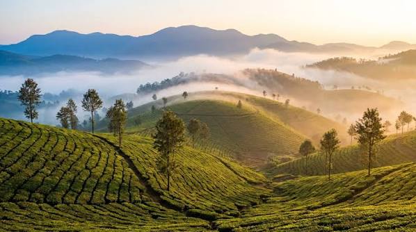 Hill Station Travel
