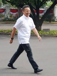 Pada 2019, ia diangkat menjadi wakil menteri oleh presiden joko widodo. Digadang Jadi Wakil Menteri Ini Profil Budi Gunadi Sadikin Kumparan Com