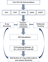 The enzyme converts the substrate to a detectable product. Intrinsic Dynamic Behavior Of Enzyme Substrate Complexes Govern The Catalytic Action Of B Galactosidases Across Clan Gh A Scientific Reports