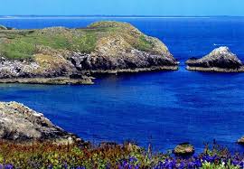 Mountrath & District Camera Club