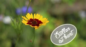 Magensonde in form eines flexiblen kunststoffröhrchens in den magen befördert. Von Der Magensonde Zum Stillen Nach Bedarf Von Guten Eltern