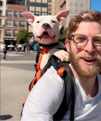 Man Befriends Squirrels During a Dark Period in His Life. And Then  Something Unexpectedly Beautiful Happened (Exclusive)