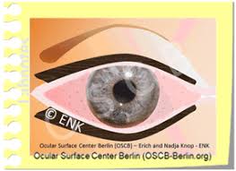Essentials Alles Wichtige Uber Das Trockene Auge Ocular Surface Center Berlin