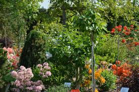 Botanischer Garten Im Spatsommer Mit Allen Sinnen Geniessen Bei Den Offenen Garten In Mv Am 5 Und 6 September 2020 Baumschule Hager