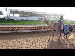 محل عبدالملك bidyah 10.43 miles away. Al Sawan Camel Track Ras Al Khaimah Destimap Destinations On Map