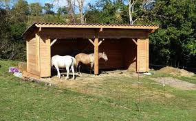 Epingle Sur Theme Sur Les Chevaux Et Le Quotidien
