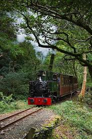 Talyllyn Railway Loco No 7 Tom Rolt Departs Abergynolwyn On The Last Stage Of Its Journey To Nant Gwernol Abandoned Train Old Steam Train Train