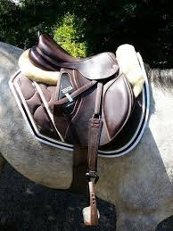 Tapis De Marque Paddock Sport Peut Etre Personnalisable Sur Mon Cheval Fr Couleur Du Tapis Chocolat Couleur Du Equestrian Outfits Equitation Horse Tack