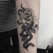 Rose And Snake By Jack Ankersen Via Ig Jack Ankersen Illustrative Black Linework Floral Flowers Tattoos Rose Snake Tattoo Snake And Rose Tattoo Design