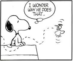 We did not find results for: How The Peanuts Character Woodstock Got His Name Cbs News