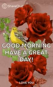 Image result for tbn:ANd9GcQzWo5lBIPWKebvy1oRkgh5c-dE8XiN3VXZR7m1YtZmdakAs_N-Mhco6w:http://www.cqham.ru/flower.gif