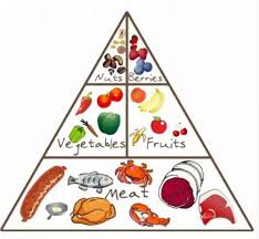See more ideas about food pyramid, nutrition, healthy. The Paleo Diet Food Pyramid 5 Things To Know