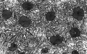 Image result for steel micrograph