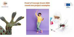 A complete set of forecasts including a profit and loss statement, cash flow statement, and balance sheet. Proof Of Concept Grant Recipients 2020