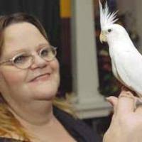 Parrot Perch Avian Rescue offers foster settings for birds