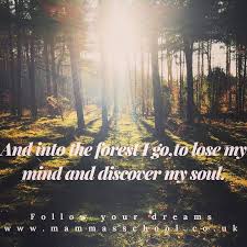 Mamma S School Mammasschool On Twitter Inspirational Quote Mindfulness Quote Nature Quotes Play Quotes Therapy Quotes