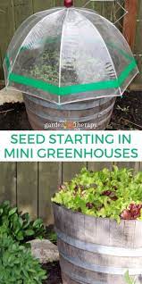 You can benefit it for building a cheap greenhouse for winter. Seed Starting In Mini Greenhouses Garden Therapy