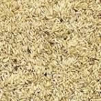 Rice Sorting - Meyer Europe Optical Sorting Solutions