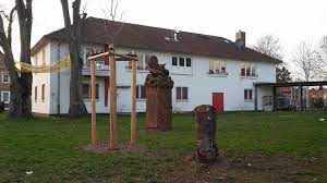 Sie sind leider etwas zu spät. Baumfallung In Mainz Hechtsheim Spd Mainz Hechtsheim