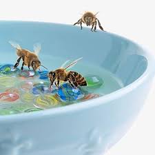 Navaris Bienentränke Keramik mit Glasmurmeln - Insektentränke Bienen  Hummeln Schmetterlinge - Tränke Wasser Futterstation Schmetterlingstränke :  Amazon.de: Garten
