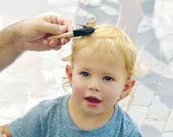 04.06.23 Southwest Orange Observer by Orange Observer