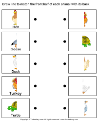 We have the following type of pre k worksheets free. Animal Body Parts For Kids Worksheet Turtle Diary